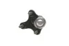 Кульова опора AUDI/SEAT/SKODA/VW A3/Leon/Octavia/Caddy/Golf/Touran "FR "04>> SKF VKDS311009 (фото 2)