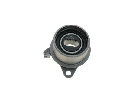 Ролик ременя ГРМ, 57 мм SKF VKM 75615