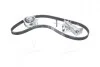 Комплект ременя ГРМ 150 зубців SKF VKMA01918