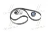 Комплект ремня генератора SKF VKMA 36209 (фото 3)