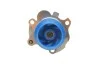 Комплект (ремень+ролик+насос) SKF VKMC 01113-2 (фото 6)