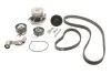 Комплект (ремень+ролик+насос) SKF VKMC 01121-1