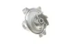 Роликовый модуль натяжителя ремня (ролик, ремень, насос) SKF VKMC 01244 (фото 5)