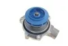 Ремень ГРМ, комплект с водяным насосом 145 зубцов SKF VKMC01278-1 (фото 9)