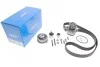 Комплект (ремень+ролик+насос) SKF VKMC01278-2 (фото 2)