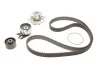 Роликовый модуль натяжителя ремня (ролик, ремень, насос) SKF VKMC 02194