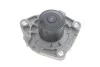 Ремень ГРМ, комплект с водяным насосом SKF VKMC02199-2 (фото 4)