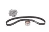 Водяной насос + комплект зубчатого ремня 129 з. SKF VKMC 02206-2 (фото 1)