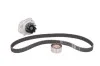 Водяной насос + комплект зубчатого ремня 129 з. SKF VKMC 02206-2 (фото 2)