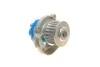 Роликовый модуль натяжителя ремня (ролик, ремень, насос) SKF VKMC 02206 (фото 6)