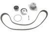 Роликовый модуль натяжителя ремня (ролик, ремень, насос) SKF VKMC 03132