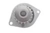 Роликовый модуль натяжителя ремня (ролик, ремень, насос) SKF VKMC 03132 (фото 9)