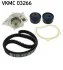 Роликовый модуль натяжителя ремня (ролик, ремень, насос) SKF VKMC 03266