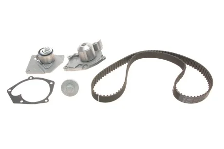 Комплект (ремень+ролик+насос) SKF VKMC 06129