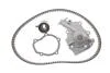 Комплект (ремень+ролик+насос) SKF VKMC 90008