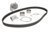 Комплект (ремень+ролик+насос) SKF VKMC 94919-1