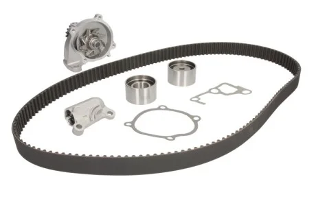 Комплект (ремень+ролик+насос) SKF VKMC 94919-1