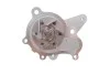 Комплект (ремень+ролик+насос) SKF VKMC 95660-3 (фото 7)