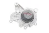 Комплект (ремень+ролик+насос) SKF VKMC 95660-3 (фото 9)
