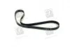 Поликлиновой ремень SKF VKMV4PK855