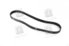 Поликлиновой ремень 6 ребер SKF VKMV6PK923 (фото 1)