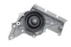 Помпа водяна SKF VKPC 81304 (фото 9)
