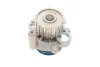 Водяний насос VAG A3/Ibiza/Leon/Octavia/Bora/Caddy/Golf \'\'1,9TDi "95>> SKF VKPC 81623 (фото 9)