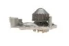 Насос охолоджуючої рідини (Вир-во) SKF VKPC 86216 (фото 5)