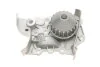 Насос охолоджуючої рідини (Вир-во) SKF VKPC 86216 (фото 6)