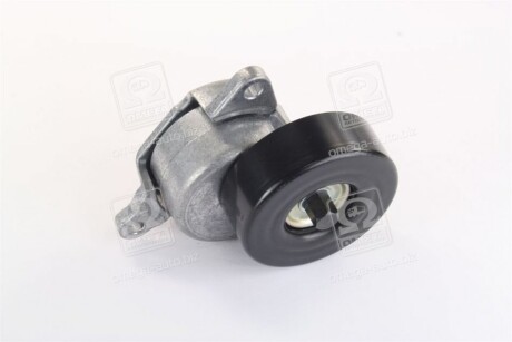 Натяжна ролик, поліклиновий ремінь FORD (Ви-во NTN-SNR) SNR NTN GA35250