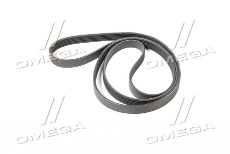 Ремінь генератора SSANGYONG 0119971992