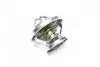 Термостат Rodius, Kyron, Musso, Istana, Actyon (Sports), Korando, Rexton (вир-во SsangYong) SSANGYONG 6062030275 (фото 3)