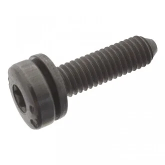 Болт с головкой системы TORX (Swag) SWAG 30949401