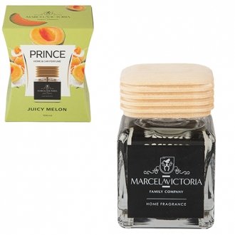 Ароматизатор рідкий для дому/офісу "PRINCE" 100ml Juicy Melon (118950) Tasotti 00000061871