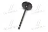 Клапан впускной Toyota Land Cruiser 12- RAV4 Camry Lexus (выр-во Toyota) TOYOTA 1371131101 (фото 2)