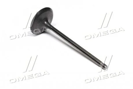 Клапан впускной Toyota Land Cruiser 12- RAV4 Camry Lexus (выр-во Toyota) TOYOTA 1371131101