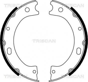 Комплект гальмівних колодок, Стоянкове гальмо TRISCAN 810014011 (фото 1)