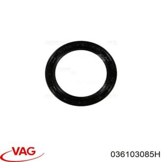 Сальник коленвала VAG 036103085H