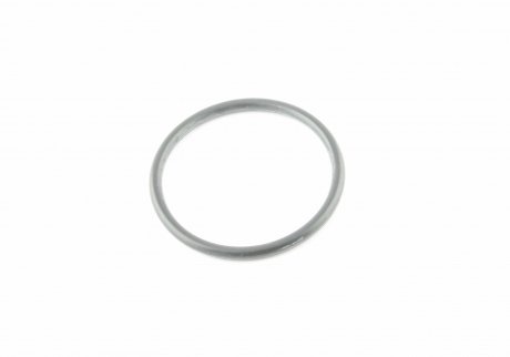 Уплотнительное кольцо VAG 038121119B (фото 1)