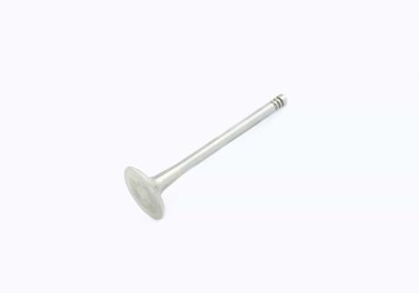 Впускний клапан VAG 03G109601B