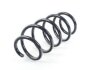 Пружина підвіски VAG 3C0411105S (фото 1)