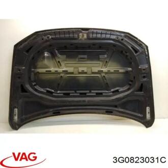 Капот VAG 3G0823031C