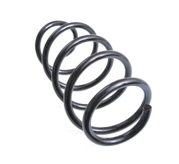 Пружина підвіски передня гвинтова VAG 6R0411105E