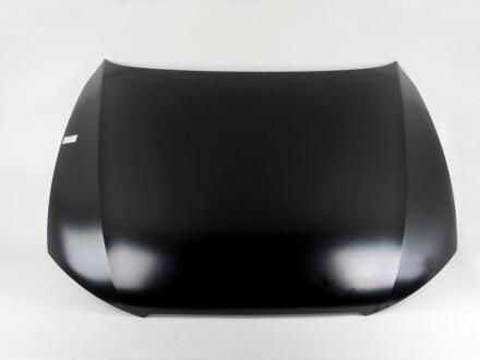 Капот VAG 8T0823029H