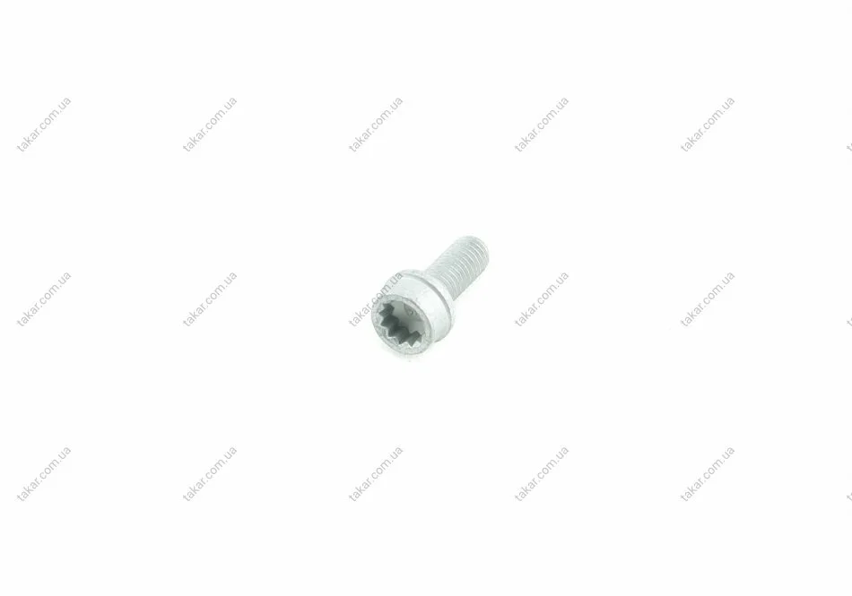 Болт з головкою системи TORX з чорного металу VAG N91048802 (фото 1)