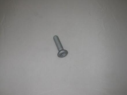 Болт з головкою системи TORX з чорного металу VAG WHT000237C