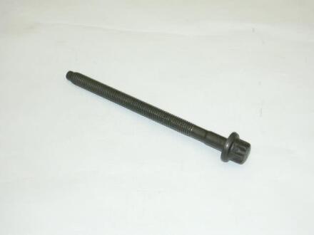 Болт з зовнішнім Torx M8*110 VAG WHT002690