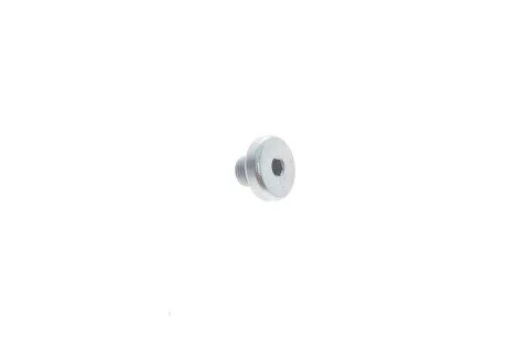 Корок М10*9 VAG WHT005510