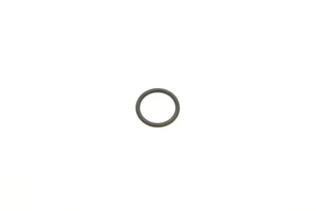 Уплотнительное кольцо VAG WHT005558