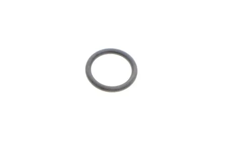 Уплотнительное кольцо VAG WHT006124